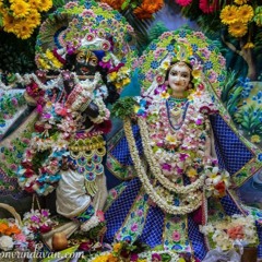 Madhava Taank