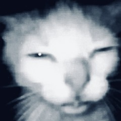 LuhG33k¥