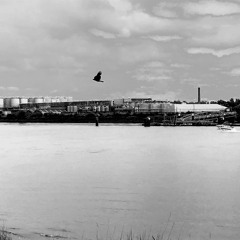 Punchline Hunting Season