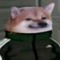 Ricardex