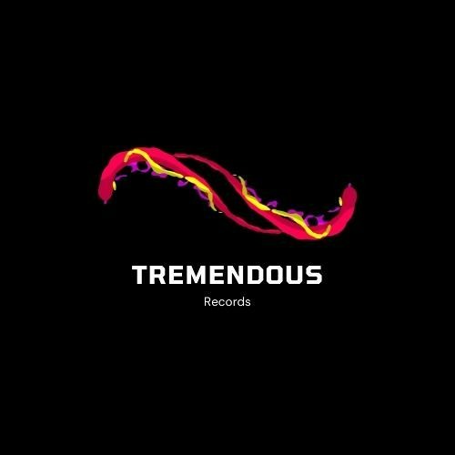 Tremendous Records’s avatar