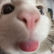 jc._.4u