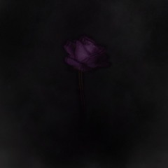 suicidezero