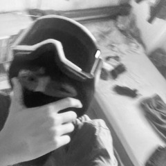 Baz.anarchy