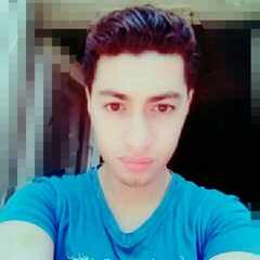 M.zaid