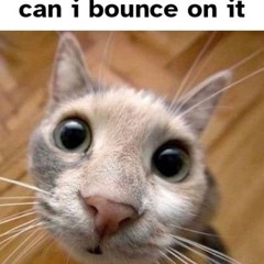 Ajax✨🏳️‍⚧️ Ftm he/him