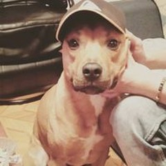 Ivan Fernandez Miranda