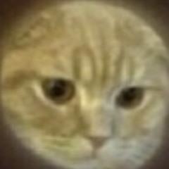 danxlaaa