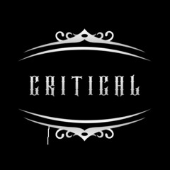 Critical official