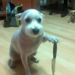 D: