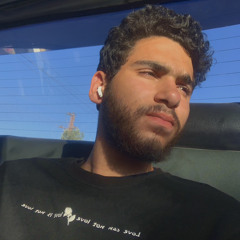 Ziad Adel