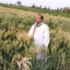 مہحہمہود الہٰشملہٰيٰ