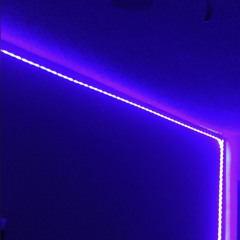 r___.t_