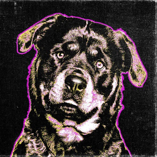 Rottweiler_’s avatar