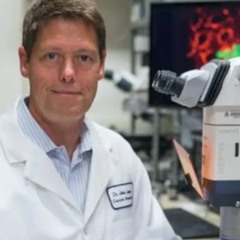 Lozzengain