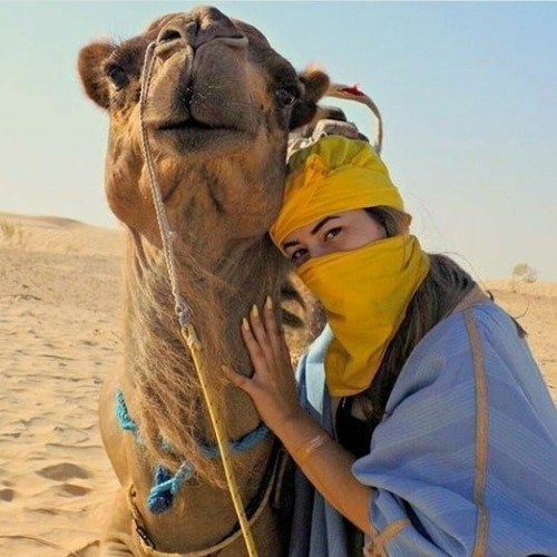 Sahara desert Tunisia ღ’s avatar