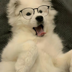 EMS !!  🐾🦴