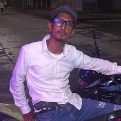 Pardo Rojas