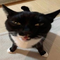 hehe