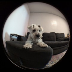 JAMN.2026.01#1 - NIGHTSHIFT