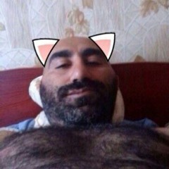 zapret