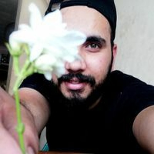 Mahmoud H. Ali’s avatar