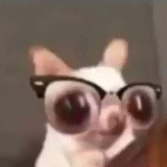 Ariananam