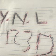 Y N L R3D
