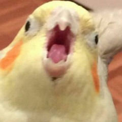 wazaki