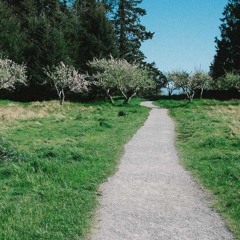 Raqimzj715