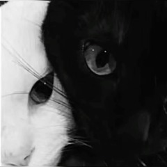 🐾