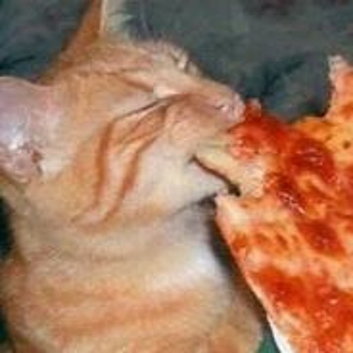 Pizza_Kitty’s avatar