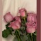 shahad