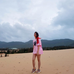 Hoai Anh Mango