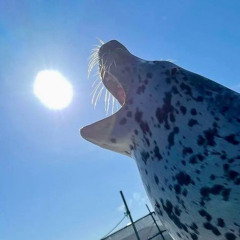 eat the sun