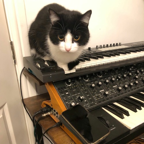 Stream Paper Mache World/The Steps by Chlarrison Listen online for