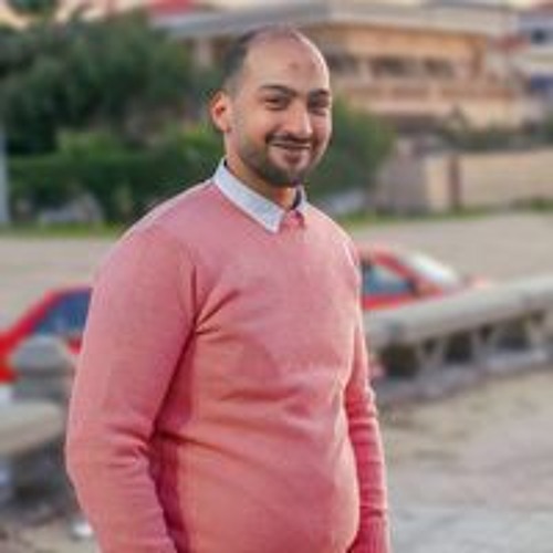 Ali Elagwany’s avatar