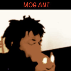 MOG Ant
