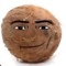 cocosmire