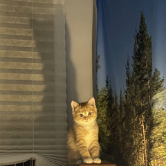 yenaa