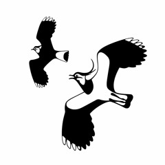 Dansk Ornitologisk Forening(DOF)/BirdLife Danmark