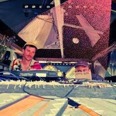 tropicaldiscohustle • monte&tofu