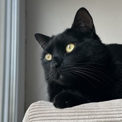 Larisa