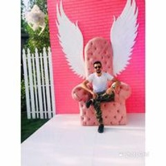 عماد الدكش