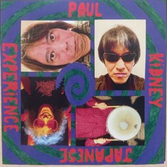 PaulKidneyExperience