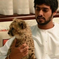 الكتبي