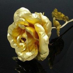 rose thug