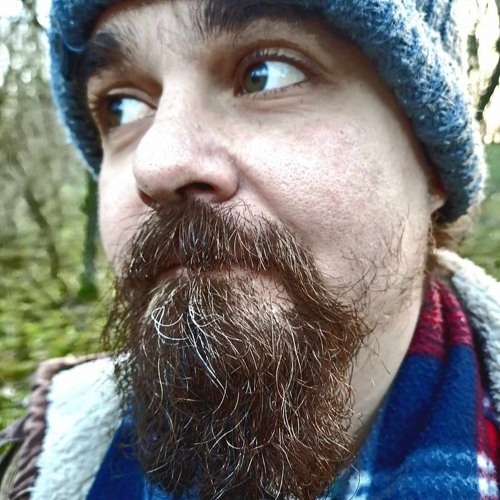 Field Recording: Knocking Big Old Tree