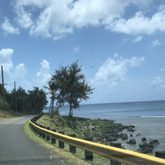 🌴DongBwabwaKinamwe🌴