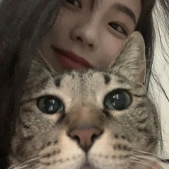 ꒰뿌엥🎀
